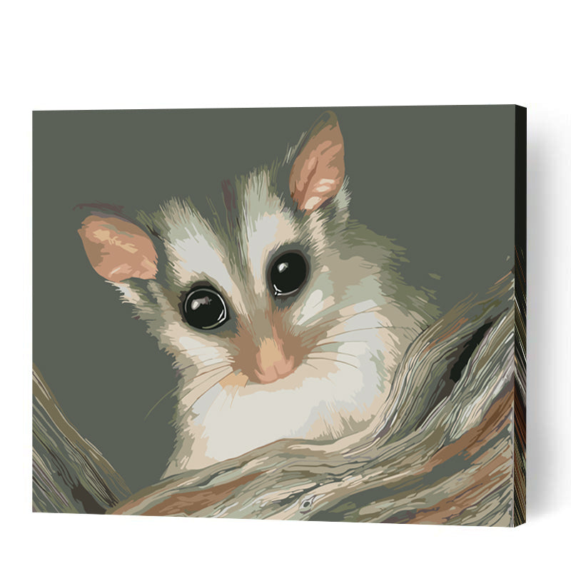 Sugar Glider