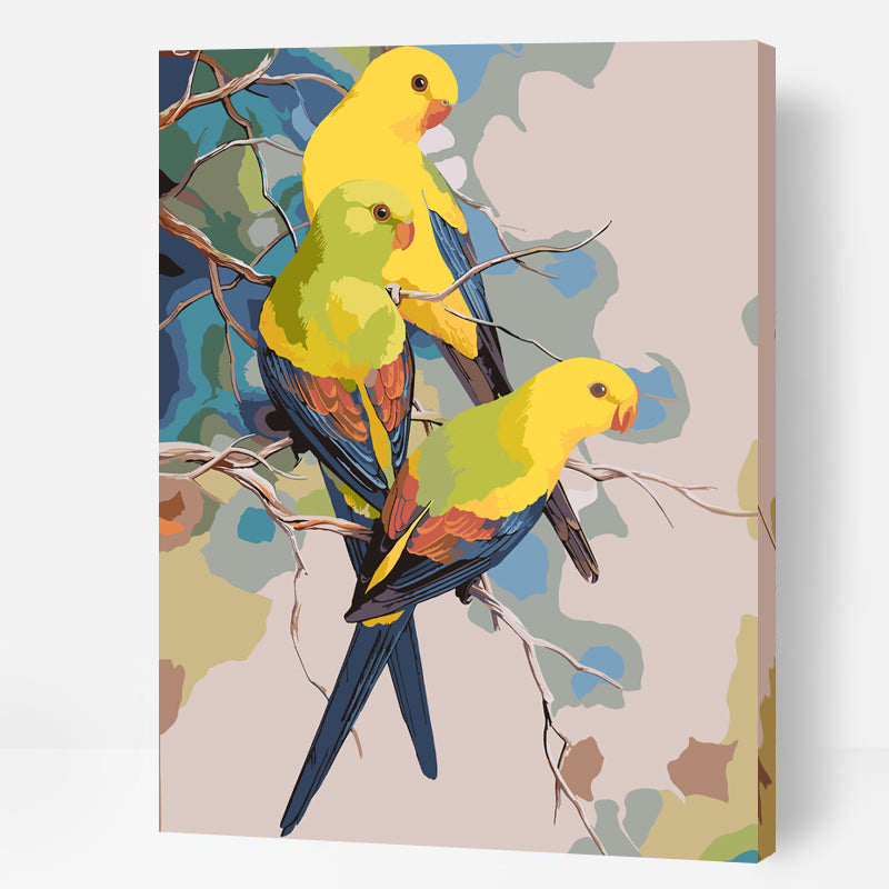 Regent Parrots