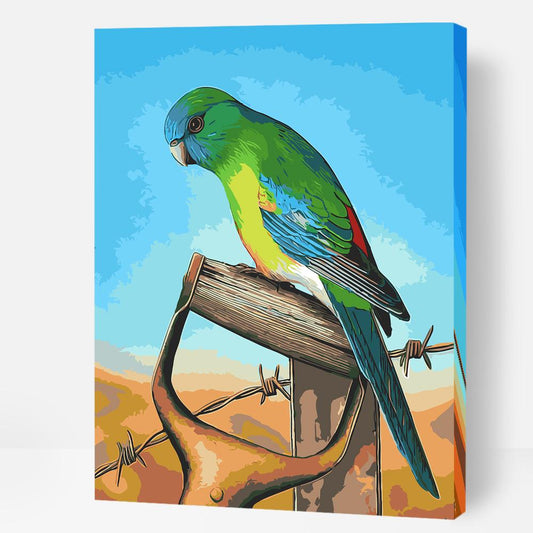 Red-Rumped Parrot - Paint By Numbers Cities