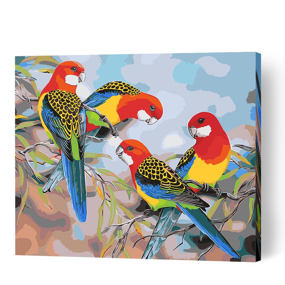 Eastern Rosella On Branch - Paint By Numbers Cities