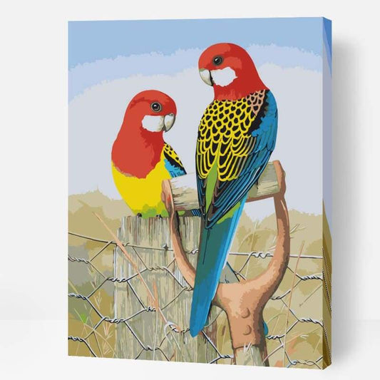 Eastern Rosellas - Paint By Numbers Cities