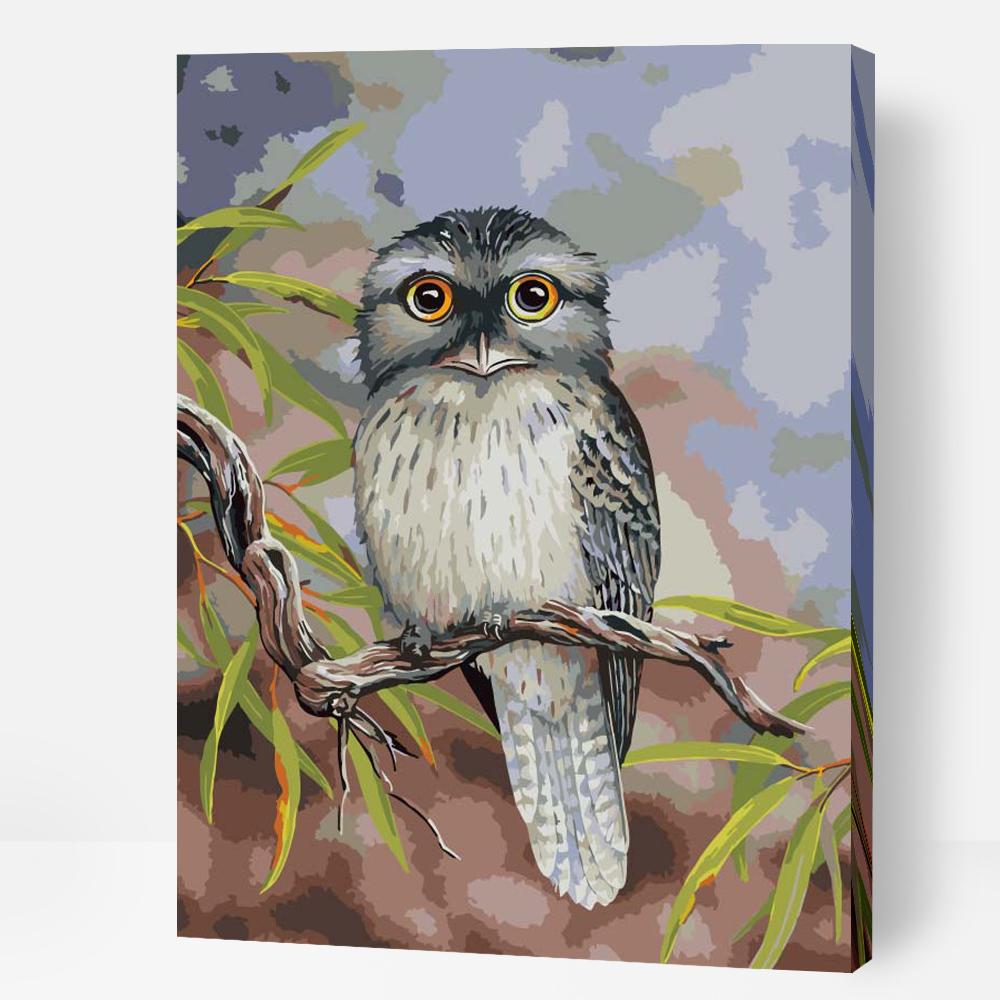 Tawny Frogmouth - Paint By Numbers Cities