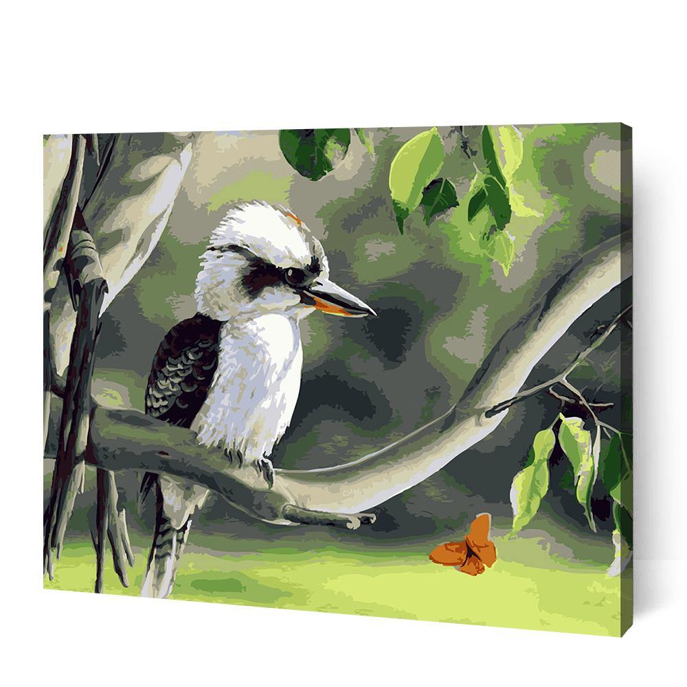 Kookaburra - Paint By Numbers Cities