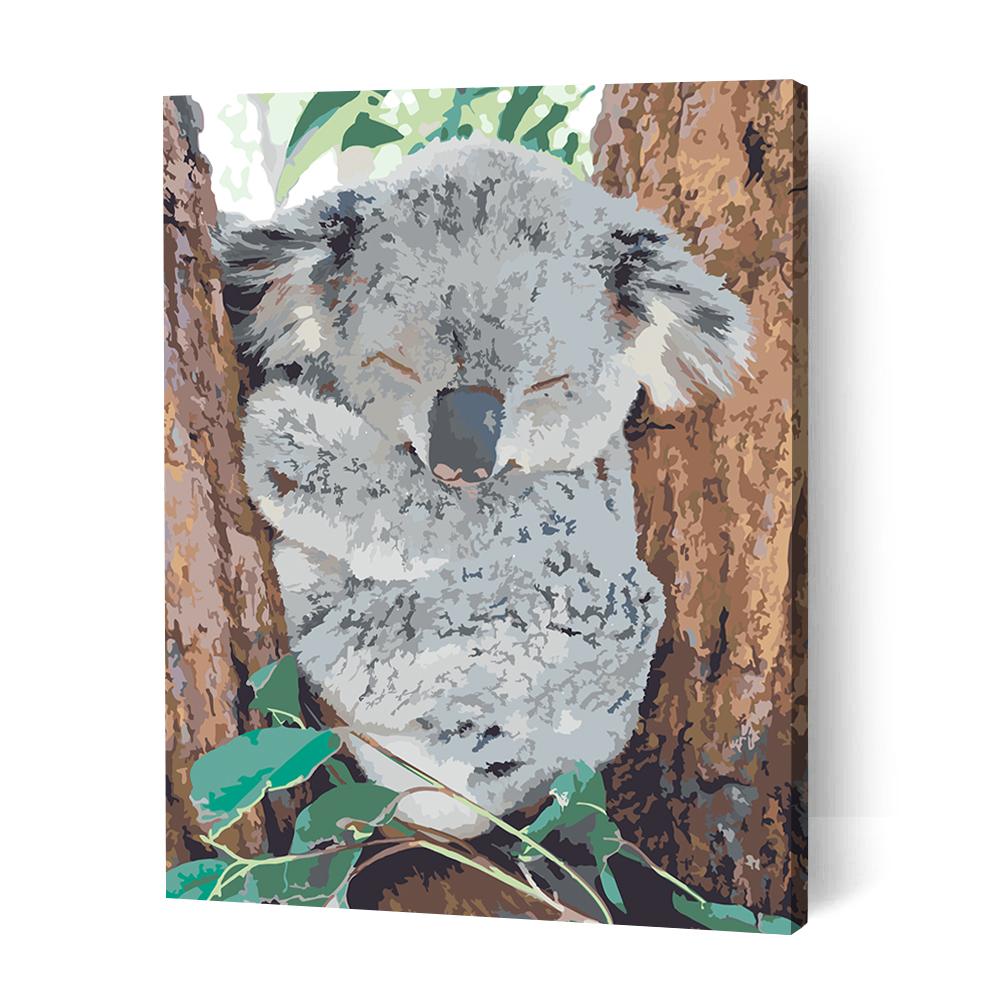 Sleeping Koala - Paint By Numbers Cities