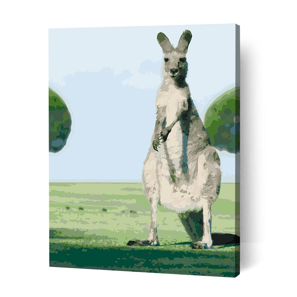 Kangaroo Stare Off - Paint By Numbers Cities