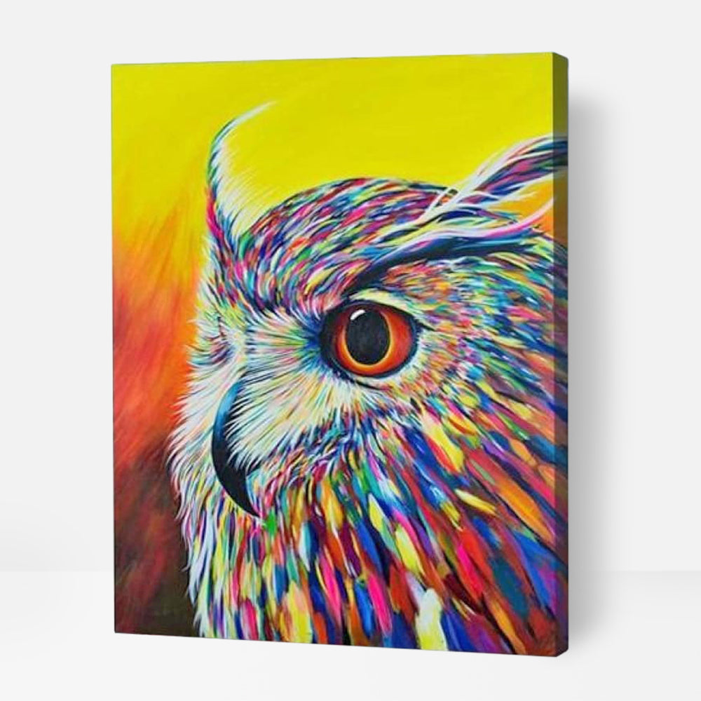 Colourful Wise Owl - Paint By Numbers Cities