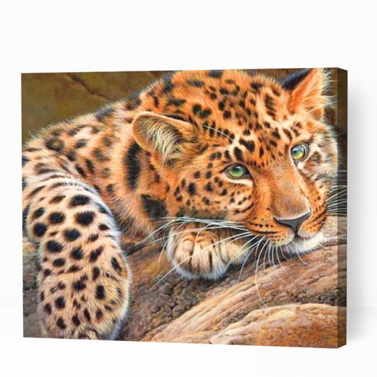 Cute Cheetah Art - Paint By Numbers Cities