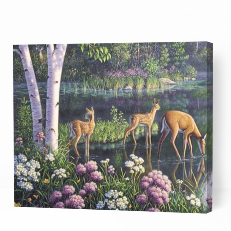 Deer Family in Lake - Paint By Numbers Cities