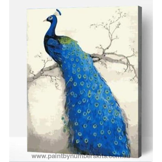 Graceful peacock - Paint By Numbers Cities