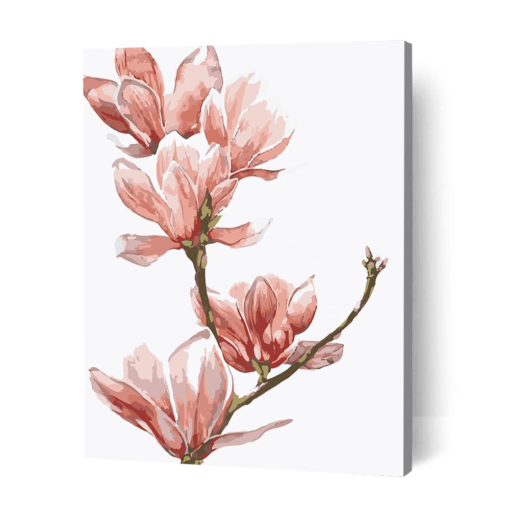 Pink Magnolia Flowers - Paint By Numbers Cities