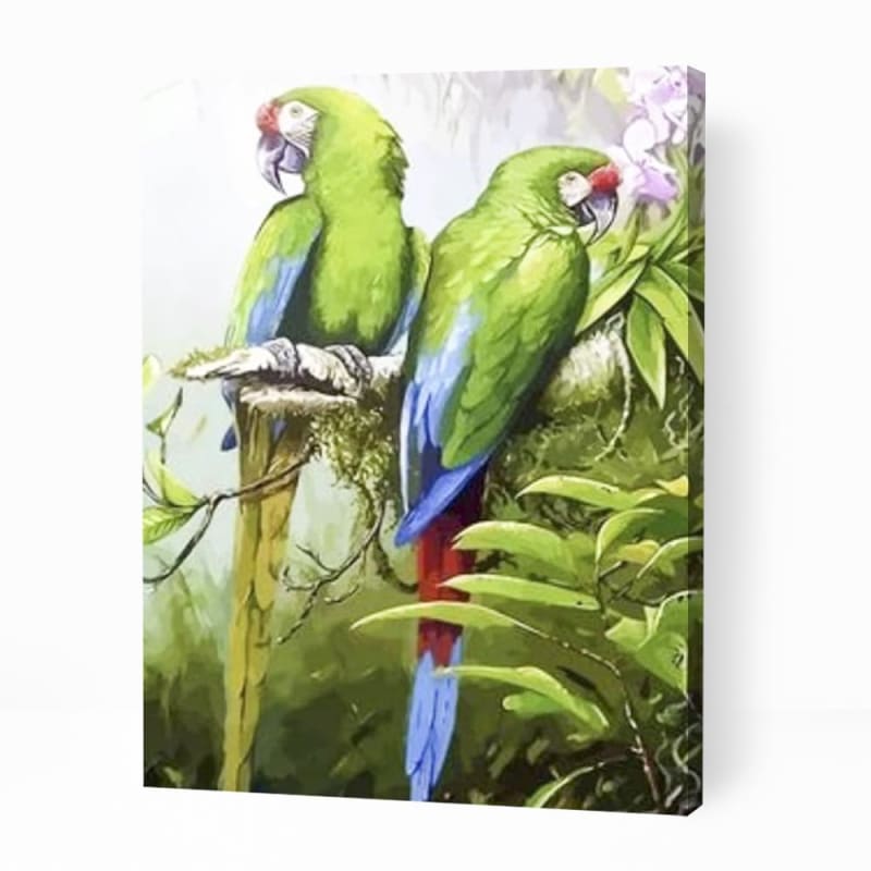 Parrots Sitting on Branch - Paint By Numbers Cities