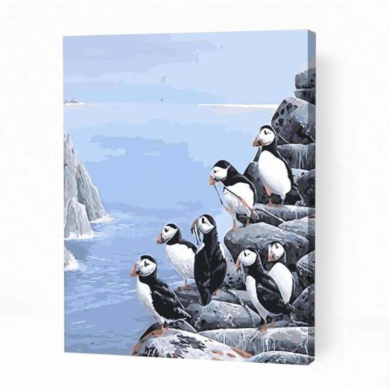 Penguin Birds in Atlantic - Paint By Numbers Cities