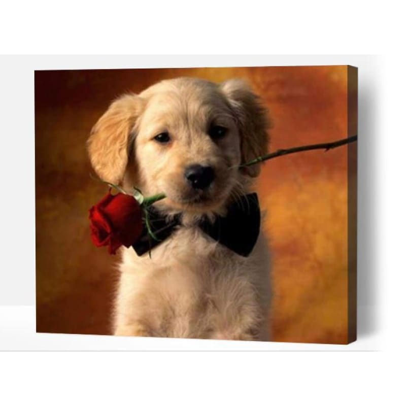 Puppy with rose - Paint By Numbers Cities