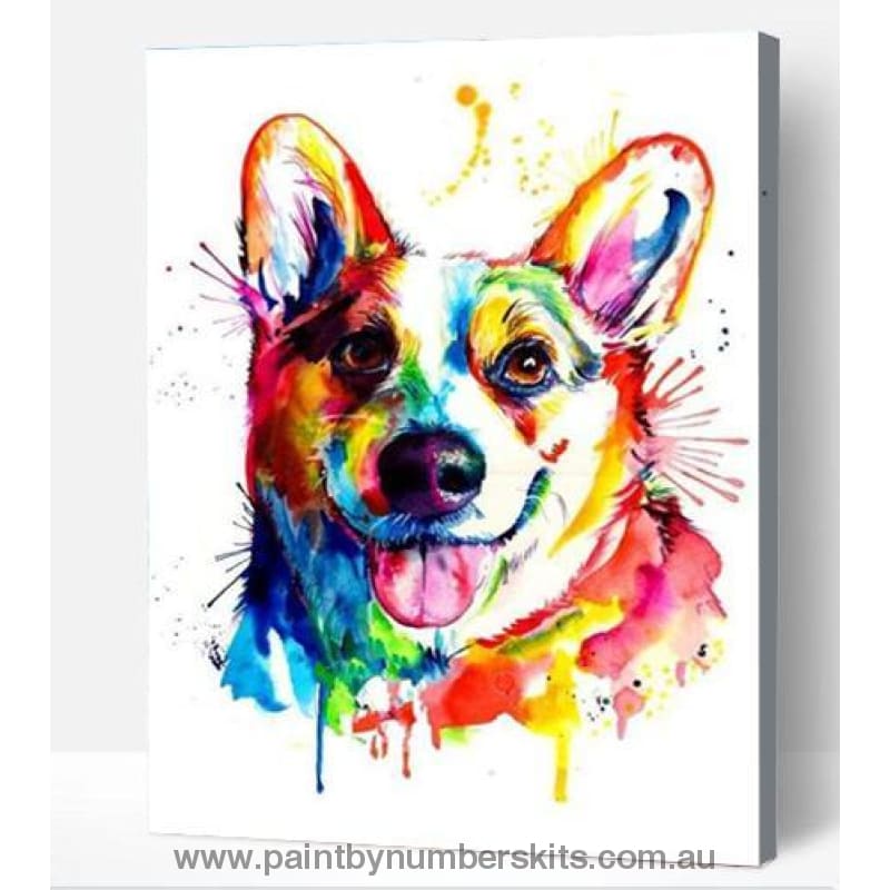 Rainbow Corgi - Paint By Numbers Cities