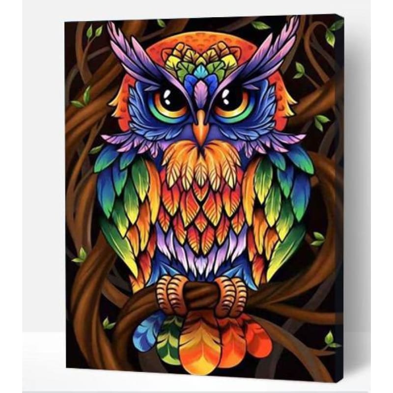 Rainbow owl - Paint By Numbers Cities