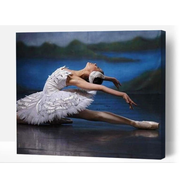 Swan Lake - Paint By Numbers Cities