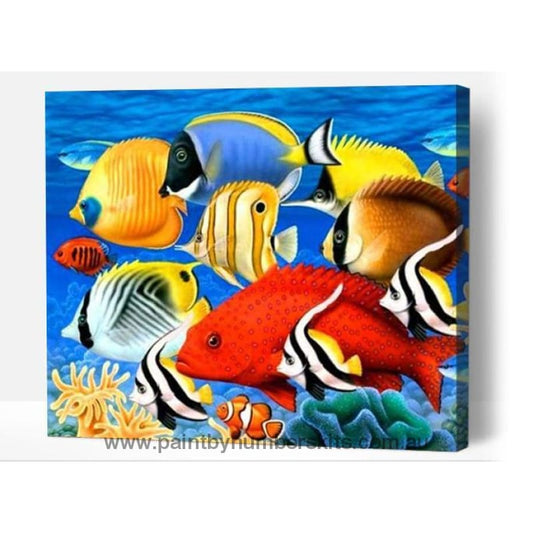 Tropical Fish - Paint By Numbers Cities